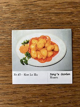 Nr. 47 Koe Lo Ha